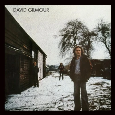 Afbeelding van David Gilmour