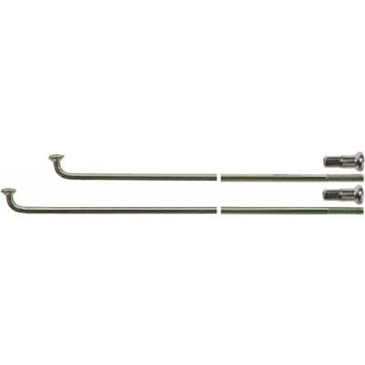 Afbeelding van Spaken zonder nippels Alpina Raggi 240 14 ø2.00 mm FG 2,3 zink (144 stuks)