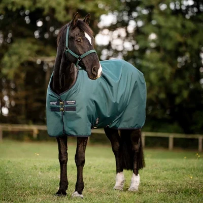 Afbeelding van Amigo Ripstop 900D 100g Dynasty Green/Navy/Silver 140/191 Agradi.be
