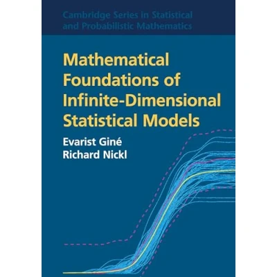 Afbeelding van Mathematical Foundations of Infinite Dimensional Statistical Models