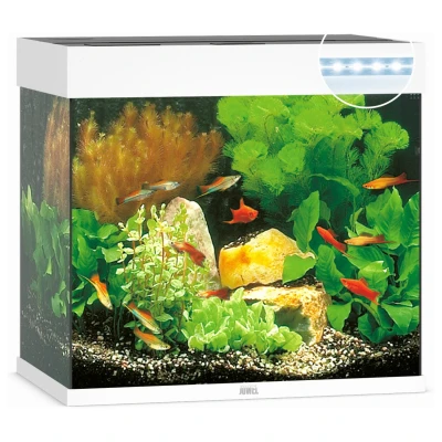 Afbeelding van Juwel Aquarium Lido 120 Led 61x41x58 cm Aquaria Wit Ca. L