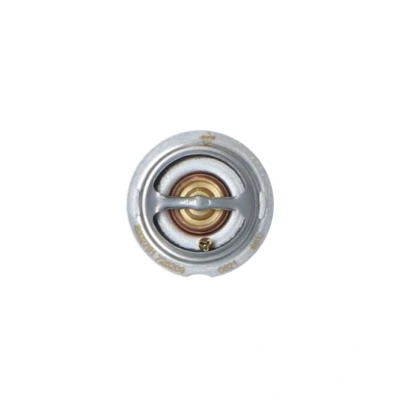 Afbeelding van Thermostaat, koelvloeistof NRF 725209