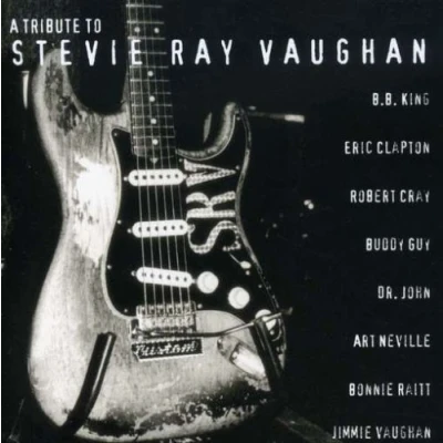 Afbeelding van Tribute to Stevie Ray Vaughan