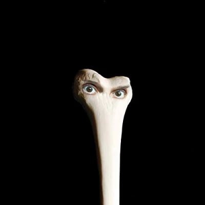 Afbeelding van Juana Molina Halo (CD)