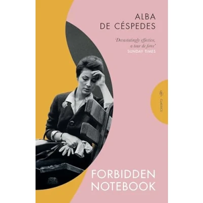 Afbeelding van Pushkin Press Classics Forbidden Notebook
