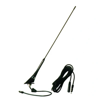 Afbeelding van Carpoint Antenne Golf V16 10023