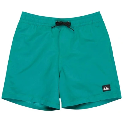 Afbeelding van Quiksilver Everyday Solid 14 Zwemshort Junior Maat 164