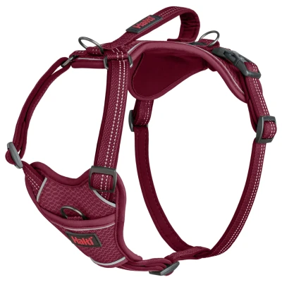 Afbeelding van Hondentuigje Company of Animals Bordeaux XS 20 32 cm