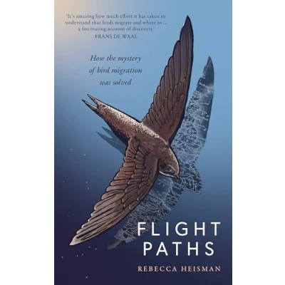 Afbeelding van Flight Paths