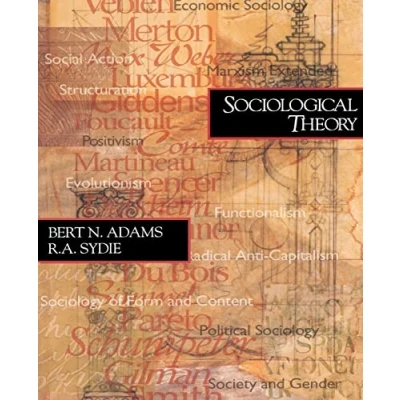 Afbeelding van Sociological Theory