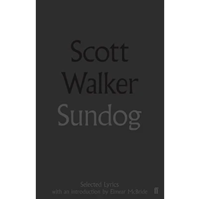 Afbeelding van Sundog