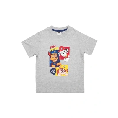 Afbeelding van Paw Patrol jongens T shirt met korte mouwen Chase, Marshall &amp; Rubble Grijs, grijs.
