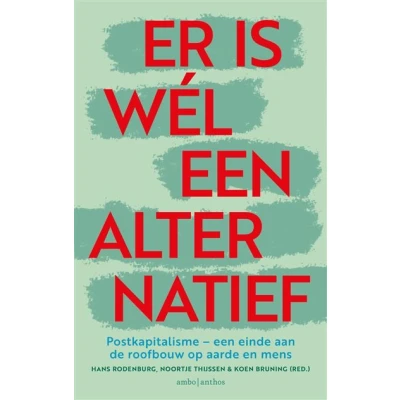 Image de Er is wél een alternatief