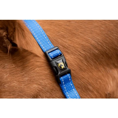 Afbeelding van Excellent Horse Premium Halster XS Mini Foal Blauw