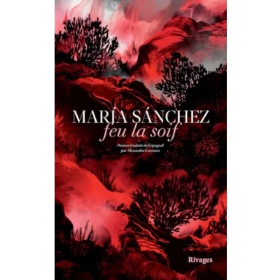 Afbeelding van FEU LA SOIF