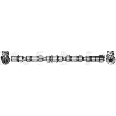 Afbeelding van AE CAM970 Nokkenas HYUNDAI: Sonata V