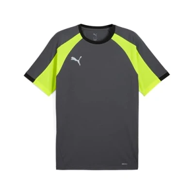 Afbeelding van Puma, Mannen, Sportief shirt, IndividueelLIGA Jersey (3XL), Grijs, 3XL