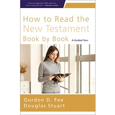 Afbeelding van How to Read the New Testament Book by