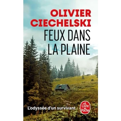 Afbeelding van FEUX DANS LA PLAINE