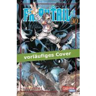 Afbeelding van Fairy Tail 30