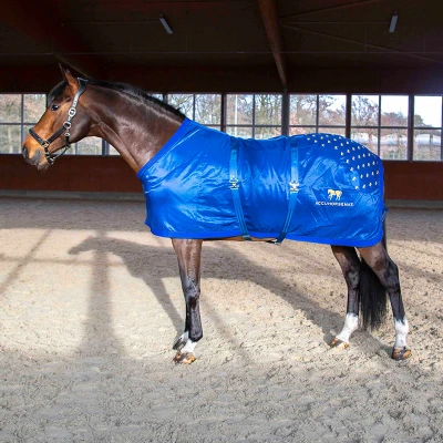 Image de Accuhorsemat Couverture Original avec Tapis d&#039;Accupression Bleu M