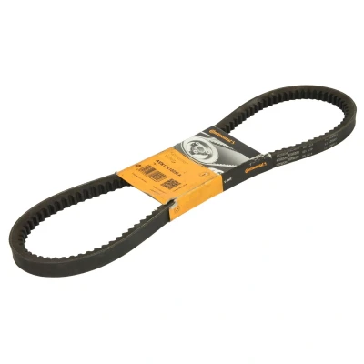Afbeelding van V riem CONTINENTAL CTAM AVX17X1025