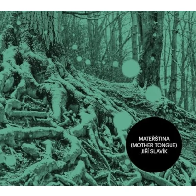 Afbeelding van Jiri Slavik Materstina (CD)