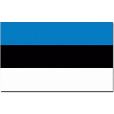 Afbeelding van Senvi Printwear Flag Estonia Grote Estland vlag Gemaakt Van 100% Polyester UV &amp; Weerbestendig Met Versterkte Mastrand Messing Ogen 90x150 CM Fair Working Conditions