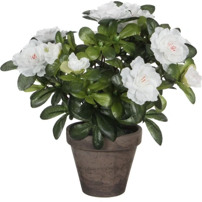 Afbeelding van Mica Decorations azalea wit in pot stan grijs (dia 11) maat cm: 27