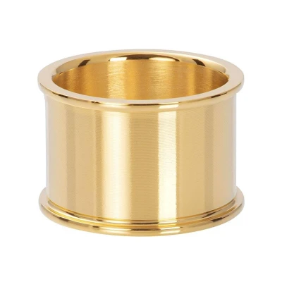 Afbeelding van Basis ring 14 mm iXXXi Gold / 16