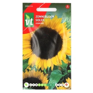 Afbeelding van Zonnebloem Giganteus De hoge grote zonnebloem.
