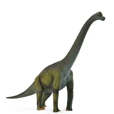 Image de Collecta col88121 brachiosaures taille l