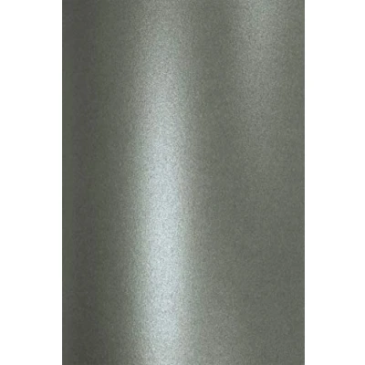 Afbeelding van Netuno 10 vellen knutselpapier parelmoer donkergrijs DIN A4 210 x 297 mm 120 g aster metallic grijs glanzend papier gekleurd