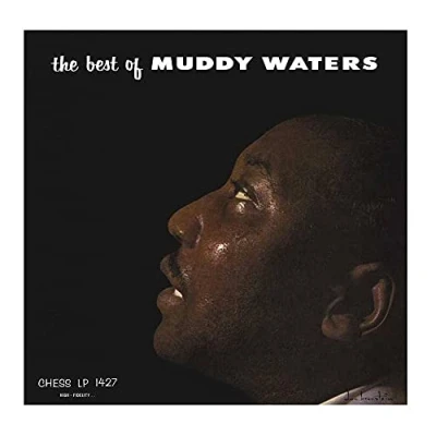 Afbeelding van Muddy Waters Best of (LP)