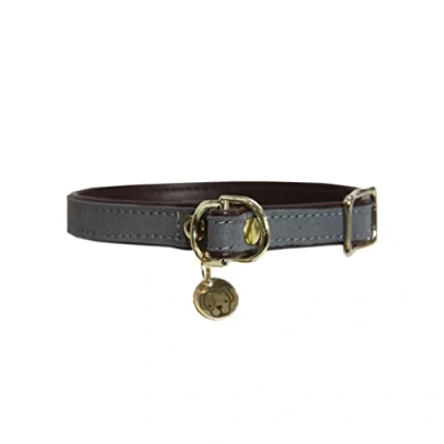 Image de Kentucky Collier Loop Gris 60cm
