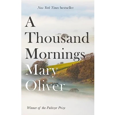 Afbeelding van A Thousand Mornings