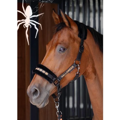 Afbeelding van Harry&#039;s Horse Halsterset Halloween Zwart Cob
