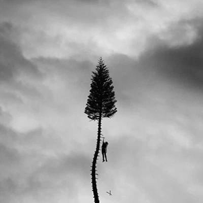 Afbeelding van Manchester Orchestra A Black Mile To The Surface (CD)