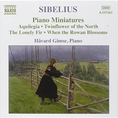 Afbeelding van Havard Gimse Piano Music 4 (CD)
