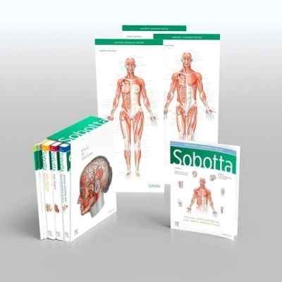 Afbeelding van Sobotta Atlas of Anatomy, Package, 17th ed., English/Latin