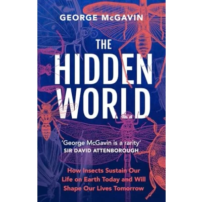 Afbeelding van The Hidden World
