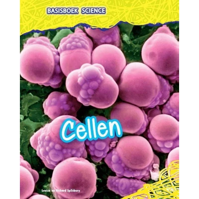 Afbeelding van Cellen