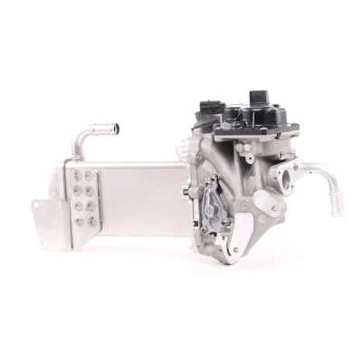Afbeelding van Valeo EGR module 700435