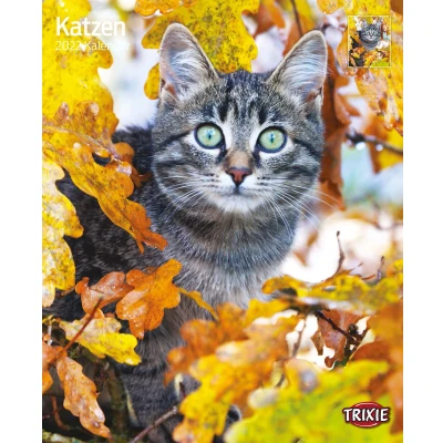 Afbeelding van Trixie Kalender Katten