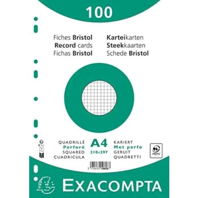 Afbeelding van Verpakking met 100 indexkaarten, formaat in folie, wit, 4 x 5 mm, geperforeerd, 210 297 mm