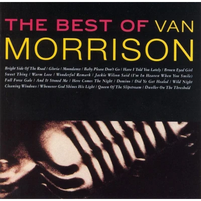 Afbeelding van The Best Of Van Morrison