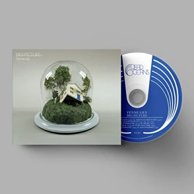 Afbeelding van Fenne Lily Big Picture (CD)