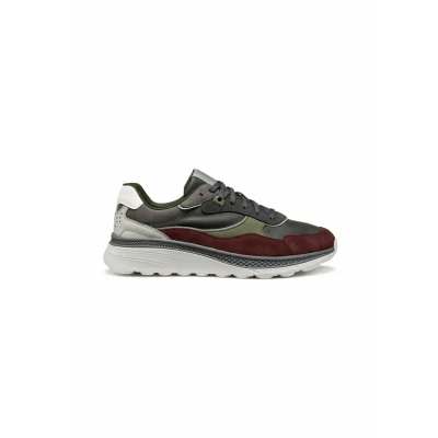 Afbeelding van Geox Sneakers laag multicoloured, Heren, Maat: 42, Multi/coloured Schoenen