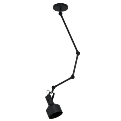 Afbeelding van EGLO Takeley Plafondlamp E27 Ø 15 cm Verstelbaar Zwart