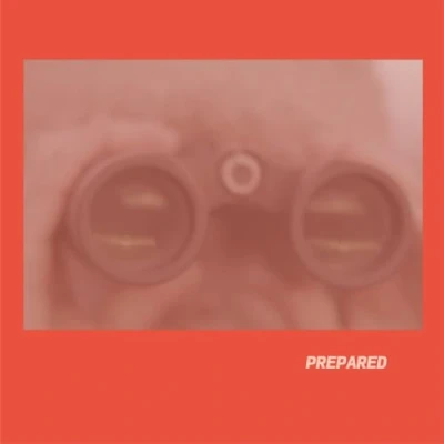 Afbeelding van Laura J Martin Prepared (LP)